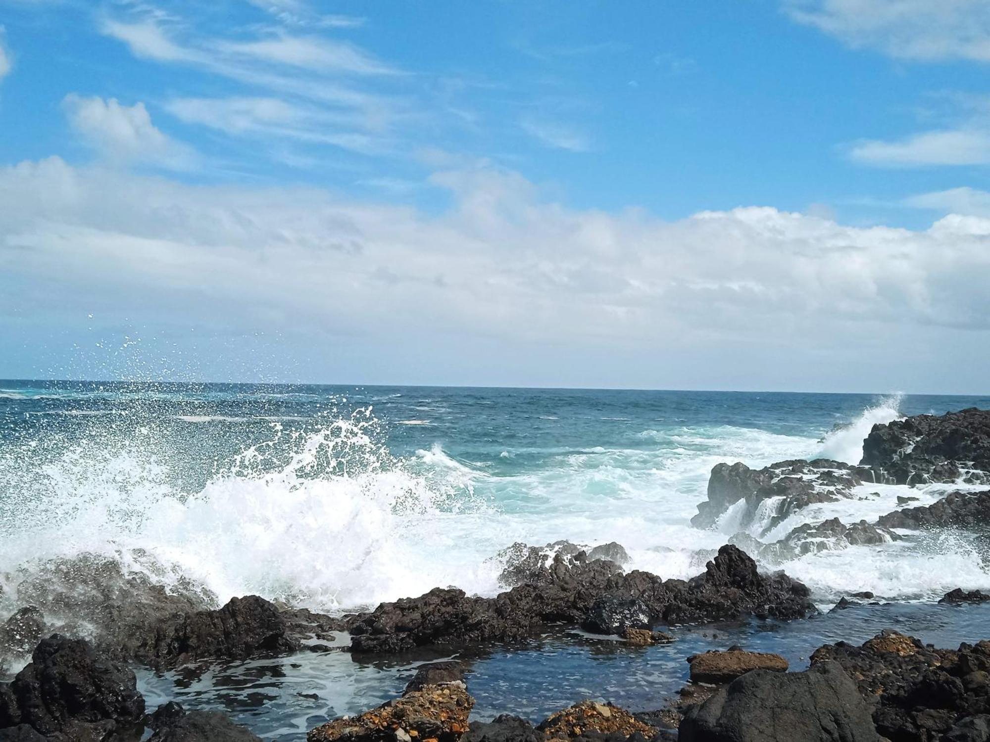 מלון Genovés Un Jardin Al Mar מראה חיצוני תמונה